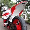 Elegant Sporty Ninja 250R